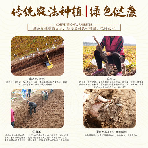 垆土铁棍山药 商品图3
