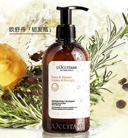 欧舒丹5合1草本菁纯修护洗发露（红标） 商品图0