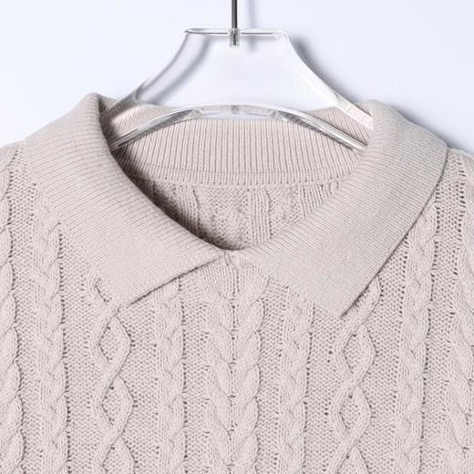 257142SDSA男士秋冬新款痞帅男装简约纯色纽花翻领毛衣百搭慵懒风针织衫 商品图2