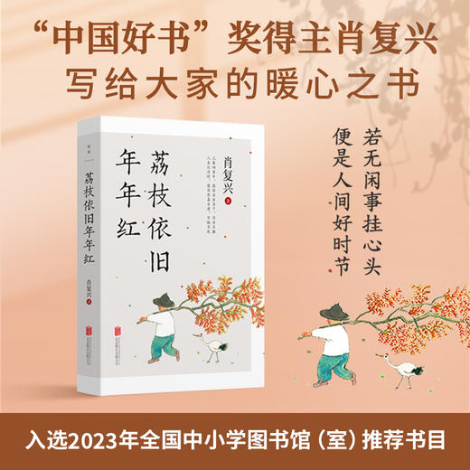 荔枝依旧年年红 商品图0