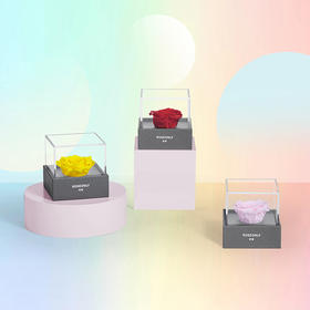 【心动礼物】ROSEONLY诺誓 永生玫瑰 心动系列 心动花盒 送爱人女友礼物