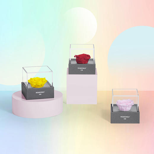 【心动礼物】ROSEONLY诺誓 永生玫瑰 心动系列 心动花盒 送爱人女友礼物 商品图0