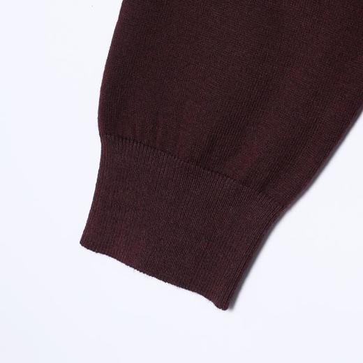 2571015SDSA男士秋冬新款痞帅男装潮牌简约纯色圆领针织衫毛衣百搭休闲 商品图4