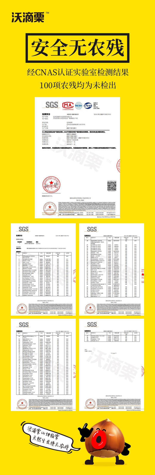 Mg基地📦核心产区迁西板栗（生熟两吃）🌰礼盒 商品图5