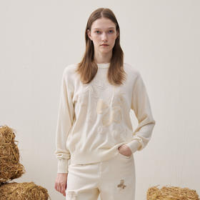 谜底套头针织衫长袖2025年冬季新品轻质柔软显瘦百搭女254MZ1886