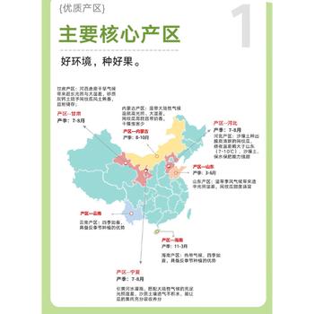 京鲜生网纹瓜 单果2斤起 净重8-9斤 2-4粒装 生鲜水果源头直发包邮 商品图2