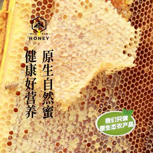 昌西公社清凉峰海拔800米野生土蜂蜜只采原生态蜂蜜 商品图3