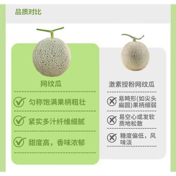 京鲜生网纹瓜 单果2斤起 净重8-9斤 2-4粒装 生鲜水果源头直发包邮 商品图3