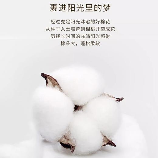 10楼堂皇   全棉超柔四件套--童趣精灵 200*230cm   吊牌价1990元  活动价399元 商品图9