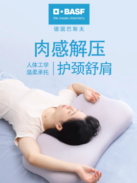 德国巴斯夫护颈枕慢回弹记忆棉枕头