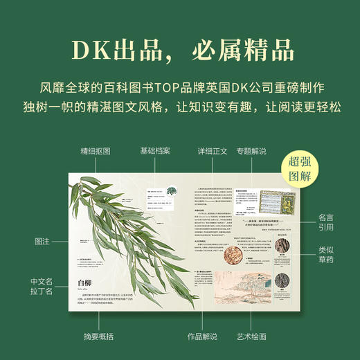 《DK草药大百科》从全球视野出发，看见传统之外的本草新知-分销 商品图2