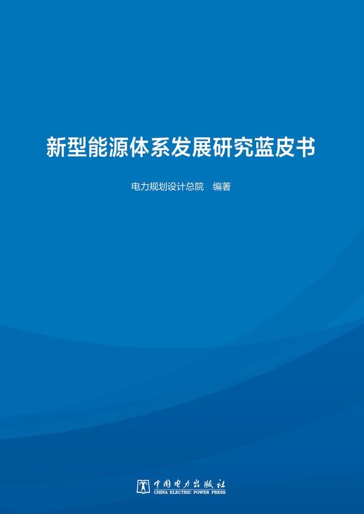 新型能源体系发展研究蓝皮书 商品图1