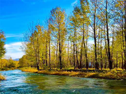 【百里画廊徒步1日】｜轻徒步の莫奈笔下的油画世界-尽享延庆山水画卷 商品图12