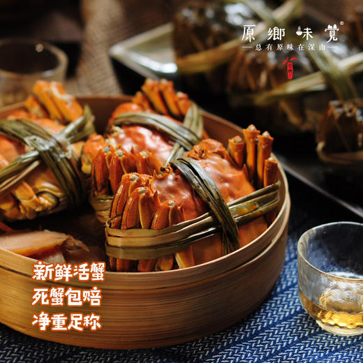 【买一箱送一只2.5两母蟹】有机大闸蟹（基地直发-顺丰包邮） | 多种规格，来自安徽当涂，生产者：霍大文【合作生产，公平贸易】 商品图2