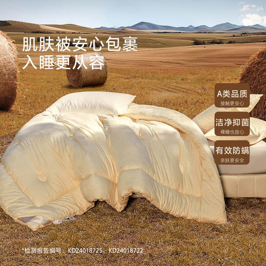 水星家纺 阳光卷毛澳洲进口羊毛加厚冬被春秋被保暖抗菌被芯被子 商品图4