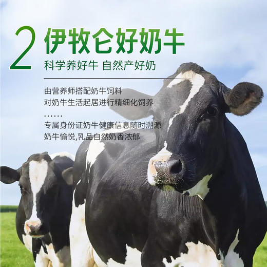 宁垦牧场·伊牧仑纯牛奶200ml*10盒  伊牧仑“三好”纯牛奶 商品图3