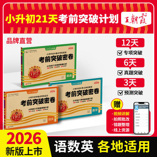 2026小升初考前突破密卷语数英各地通用真题试卷综合能力验收 商品图0