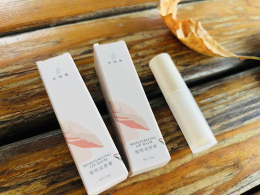 植物润唇膏 3.5g（柑橘味、桂花味） 商品图4