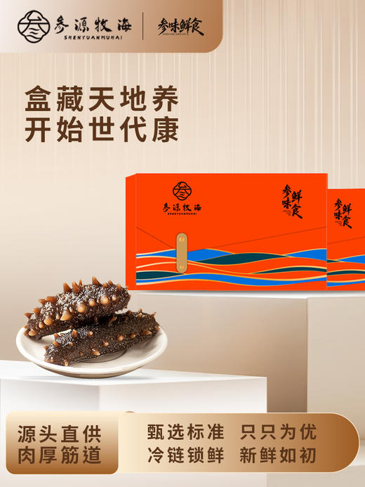 （海参）参味鲜食（2-5斤装）【GY】 商品图0