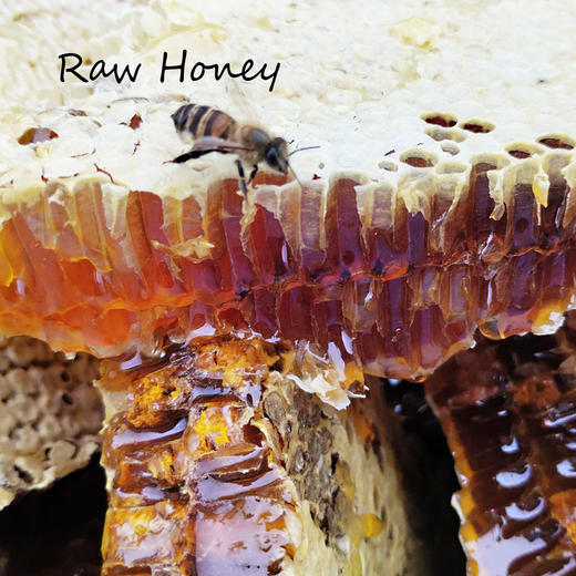 昌西公社清凉峰海拔800米野生土蜂蜜只采原生态蜂蜜 商品图1