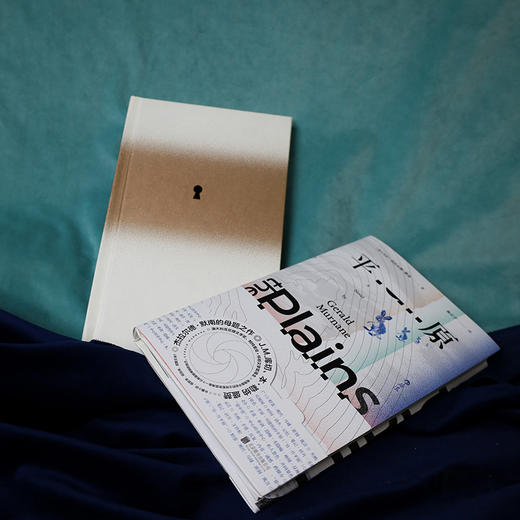 平原 诺贝尔文学奖热门候选者小说代表作，J.M.库切、本·勒纳盛赞！一位电影制作人来到澳大利亚的“里世界”平原，探索繁华环绕中的荒芜地……大洋洲内陆的简版《城堡》，嗅觉缺失的怪癖作家的通感世界 商品图1