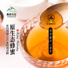 昌西公社清凉峰海拔800米野生土蜂蜜只采原生态蜂蜜 商品缩略图0
