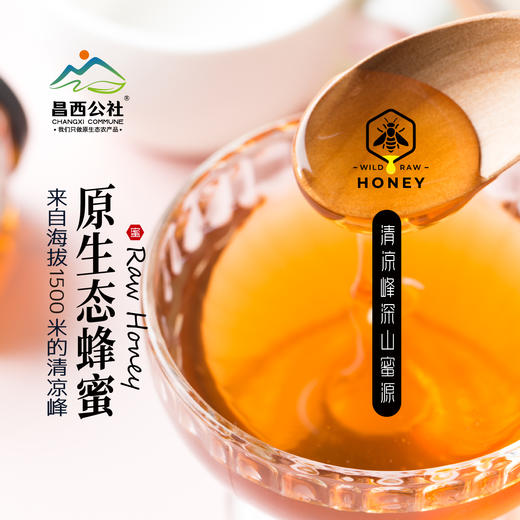 昌西公社清凉峰海拔800米野生土蜂蜜只采原生态蜂蜜 商品图0