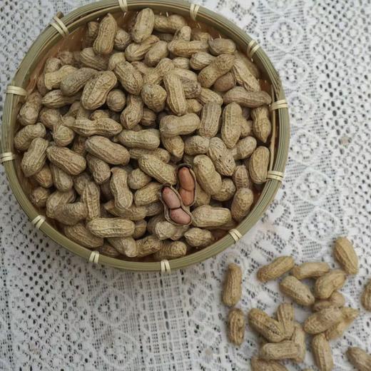 010小籽花生| Peanut 两籽精品 2025年新货 2亩地精选210斤 湖南杨林老品种小籽花生 富硒 口感香甜细腻 商品图5