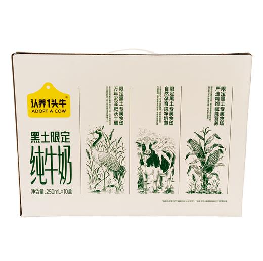 认养一头牛黑土限定纯牛奶礼盒(250ml*10瓶) 商品图1