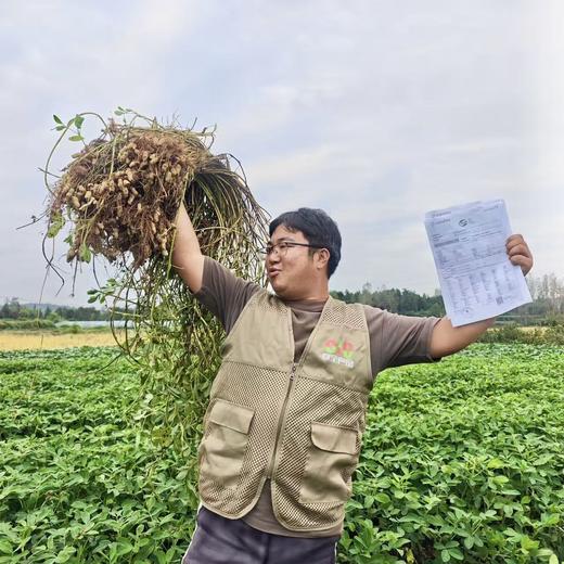 010小籽花生| Peanut 两籽精品 2025年新货 2亩地精选210斤 湖南杨林老品种小籽花生 富硒 口感香甜细腻 商品图8