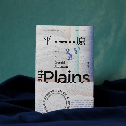 平原 诺贝尔文学奖热门候选者小说代表作，J.M.库切、本·勒纳盛赞！一位电影制作人来到澳大利亚的“里世界”平原，探索繁华环绕中的荒芜地……大洋洲内陆的简版《城堡》，嗅觉缺失的怪癖作家的通感世界 商品图4