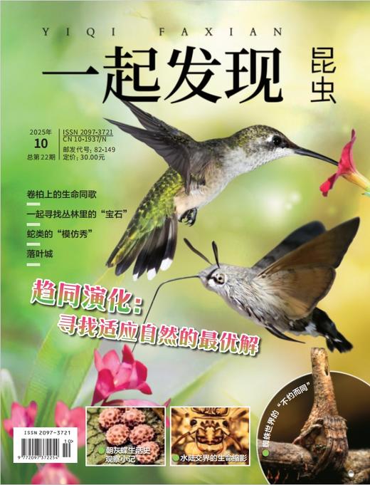 2025年《一起发现》全年10本一次发出 商品图9