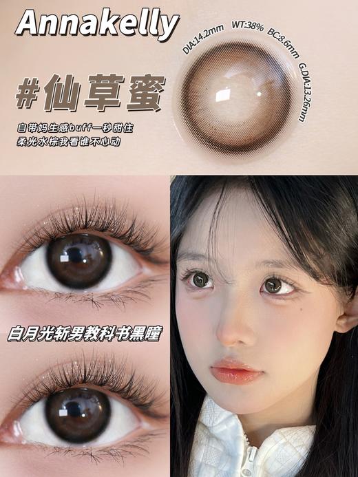 Annakelly·半年抛合集  118一副 198两副 248四副 「竹影青提」半年抛新品上市！！国产0-1000度<一副两片> 商品图2