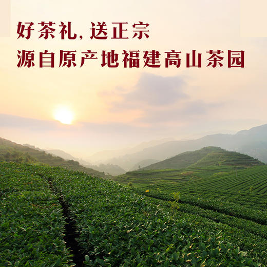 八马茶业 | 年年有余福建乌龙茶清香铁观音茶叶378g 商品图3
