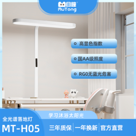 【目瞳】MT-H05瞳光 小路灯