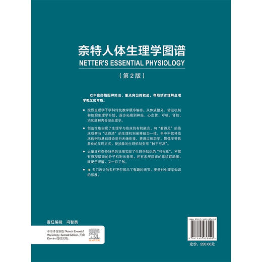 奈特人体生理学图谱 第2二版 张晓燕 管又飞 以丰富的插图和简洁重点突出的叙述帮助读者理解生理学概念的本质 北京大学医学出版社 商品图2
