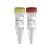 VAHTS Small RNA Index Primer Kit for Illumina 商品缩略图0