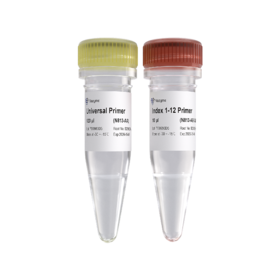 VAHTS Small RNA Index Primer Kit for Illumina