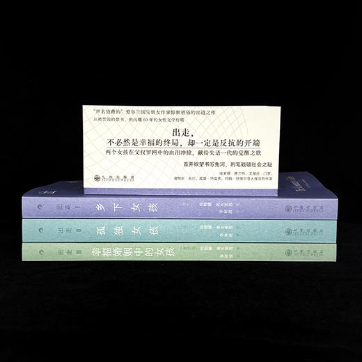 《出走》 “声名狼藉的”爱尔兰国宝级作家惊世骇俗的出道之作，出走，不必然是幸福的终局，却一定是反抗的开端，爱尔兰“天才女友”血泪冲撞的成长寓言，无数普通女孩的命运缩影 商品图3