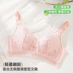 ALDOLA/雅黛俪蕾丝内衣女聚拢小胸显大调整型文胸性感胸罩2025新