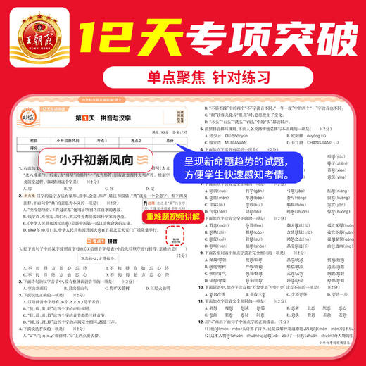 2026小升初考前突破密卷语数英各地通用真题试卷综合能力验收 商品图2
