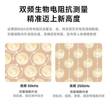 云康宝智能充电体脂秤 运动健康 电子秤体重秤家用人体脂肪秤轮播显示核心数据 mini体脂称体重 充电 /数码 /智能设备 /智能秤 商品图1