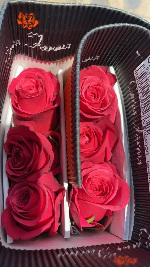 同城甄选厄瓜多尔进口玫瑰花cherry 樱桃 商品图2