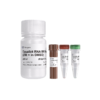 Equalbit RNA BR Assay Kit 商品缩略图0