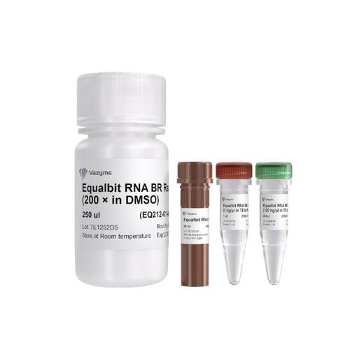Equalbit RNA BR Assay Kit 商品图0