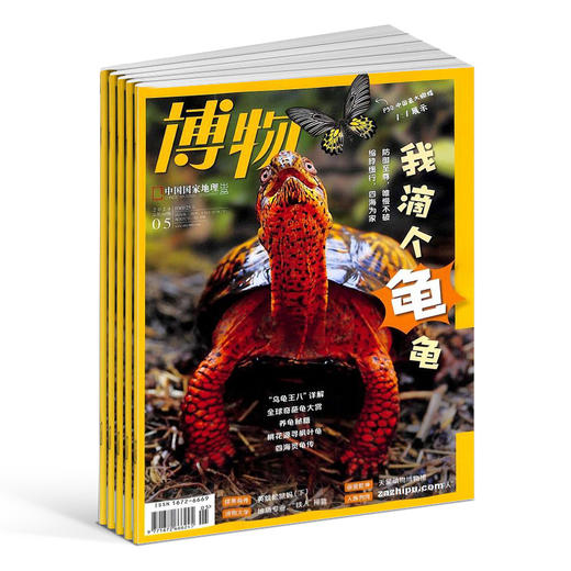 【胖爸专享】博物（1年共12期）（杂志订阅） 商品图1