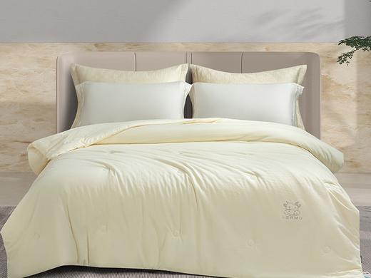 10楼宝缦 醇享豆乳四季被200*230cm 吊牌价880元 活动价139/条 商品图0