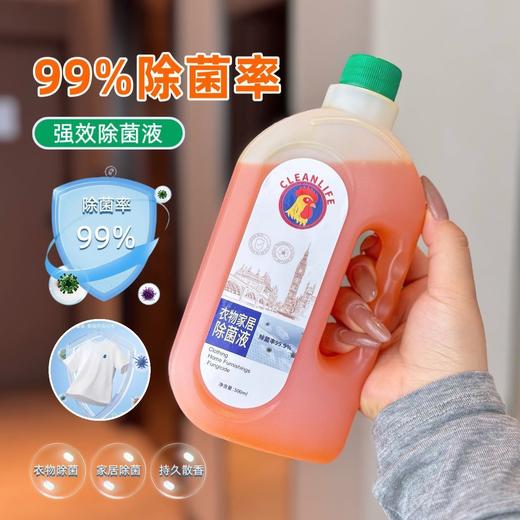 拍一发三 超值3瓶速抢 家居除菌界全能王者【CLEANLIFE大公鸡衣物家居除菌液】衣物纤维深层除菌500ml*3瓶 商品图5