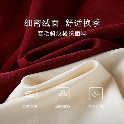 【周四狂欢价】熙世界法式宫廷风木耳边立领衬衫女长袖磨毛内搭衬衣2025秋冬新款 商品图3