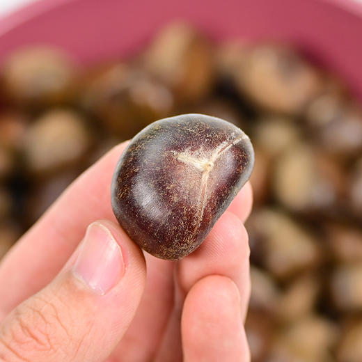 迁西老树板栗 商品图7